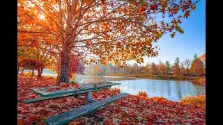 Relaxation Music with Greece Monkey #1