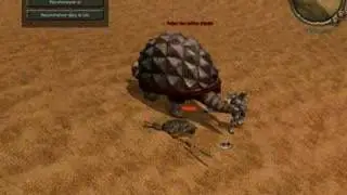 metin turtle