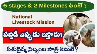 NLM- stages & Milestones - Complete Procedure for Loan and Subsidy Release -Setbacks