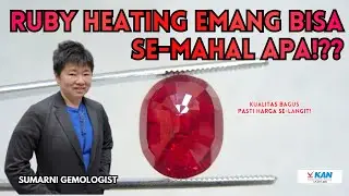 APAKAH RUBY HEATING BERHARGA. SIMAK DISINI PENJELASANNYA!