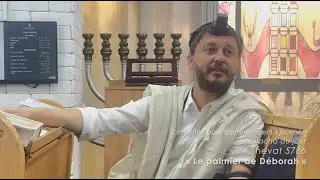 3MN DE TORAH POUR COMMENCER LA JOURNÉE - 🌴 LE PALMIER DE DÉBORAH