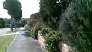 Australian neighbourhood