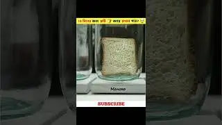 ব্রেড রুটি কতদিন খাওয়ার উপযোগী থাকে: একটি পরীক্ষা #roti recipe #viral #best
