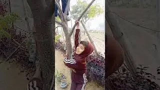 #Akshita mini world 🌎#shirt videos#viral shorts###