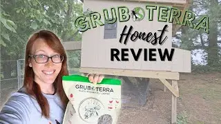 Grub Terra Review - A HEALTHY Treat For Your Chickens