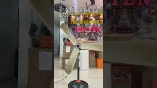 C&aacute;nh quạt trần kết hợp quạt đứng senko c&oacute; ổn
