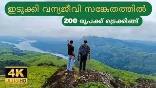Wildlife Trekking - Idukki wildlife Sanctuary Trekking | 4K Ultra HD