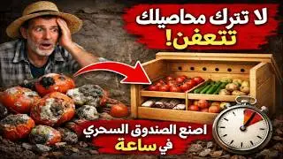 لا تدع محصولك يفسد! اصنع هذا الصندوق السحري في ساعة واحدة فقط