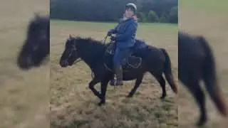Tagesritt im Sagenhaften L&ouml;stertal 03.10.2020