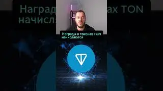 STON.FI &mdash; легкий способ получать доходность на свои TONCOIN