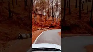 Road view from nexon sunroof 