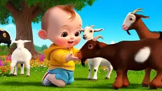 Nursery Rhymes Cartoon  + MORE Kids Songs / Sing Along / Nick