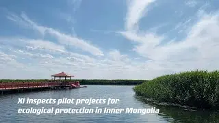 Xi inspects pilot projects for ecological protection in Inner Mongolia