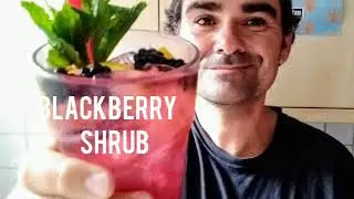 How To Make Blackberry Shrub #mocktail #shrub #blackberry #foraging #nature