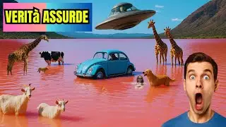 VERIT&agrave; ASSURDE: SE PENSI DI AVER VISTO TUTTO, ASPETTA DI SCOPRIRE QUESTE 10 PAZZIE!