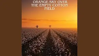 Orange Sky over the Empty Cotton Field
