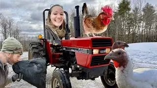 Итоги 2025 года на @MooseRunFarm! И взгляд в будущее, на 2026 год!