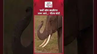 Kaziranga National Park पहुंचे पीएम मोदी | PM Modi Assam Visit | #viralvideo #pmmodi