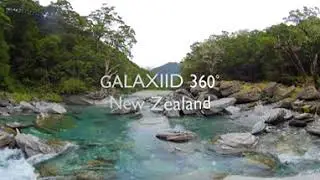 360˚ New Zealand: Forest River