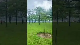 শিমুল বাগান- তাহেরপুর এন্ড মেঘালয় ভিউ