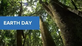 Earth Day | Gildan