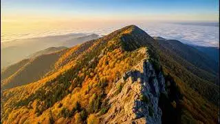 Calm Autumn Flow 🌿 Relaxing Background Music for Overthinking and Stress Relief