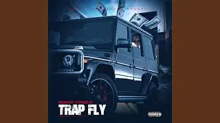Trap Fly