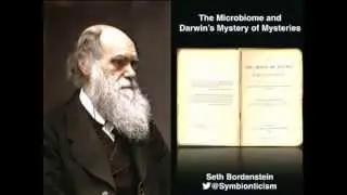 Seth Bordenstein: University of Michigan Early Career Scientists Symposium