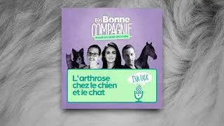 L'arthrose chez le chien et le chat