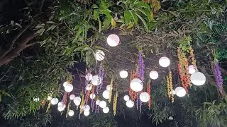 Chandane Farm | Family Picnic Highlights