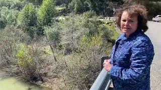 Bear River in the Spring