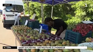 Mangue, letchis, ananas et peut-être même longanis, ces fruits péi présents sur toutes les tables