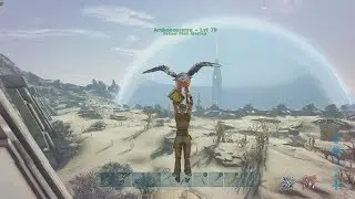 naked to base and basics in under an hour!  Budget PT?? Official PvP servers