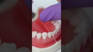 ✨ Products Link in Comments ✨ Dental Floss Tooth Cleaning Kit