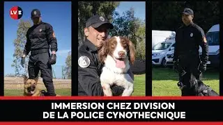 Chien & Policier : Coéquipiers de choc