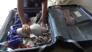 Как упаковать бутылку с напитком в сейф чемодана