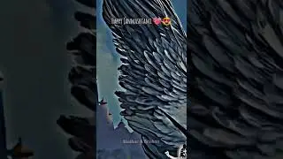 #shorts Happy Janmashtami Whatsapp Status | Radhe Krishna | Sree Krishna Jayanti Status
