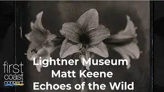 First Coast Connect: Lightner Museum Matt Keene: Echoes of the Wild photography