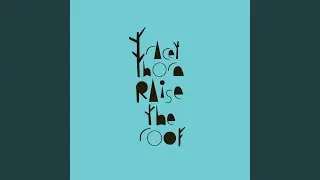 Raise The Roof (Beyond The Wizard's Sleeve Re-Animation)