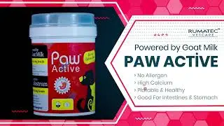 Paw Active | Rumatec Vetcare | Veterinary products