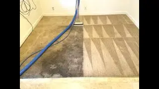 IMG 0496 1 Coloado StainMaster Carpet Cleaning