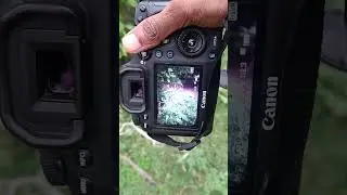 Canon EOS 6D semi professional camera and 15 stm  lens #shorts
