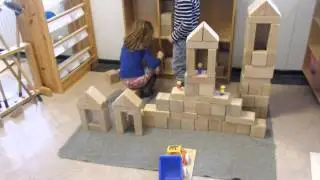 Videoverslag