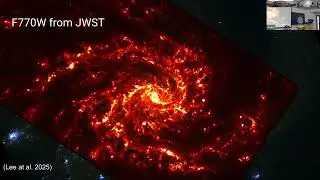 TASTY: The Hidden Life of Stars: Embedded Beginnings to AGB Endings