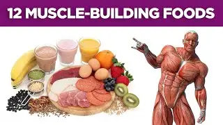 9 Best Foods To Boost Muscle Building and Strength