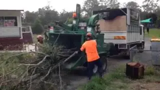 Rhino Trees - Gold Coast Tree Services: Mulching Services & Garden Mulch Delivery