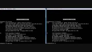 How to install and configure Sendmail & Alpine in Linux