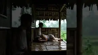 Rainy Day Stillness in a Bamboo House 🌾 | Serene Love & Paddy Field Ambience #Shorts