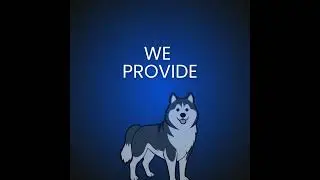 Husky VPN - Ultimate Privacy for Streaming Music