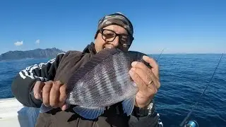 Pesca a bolentino, le tanute di Febbraio